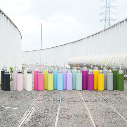 South American mate tea cup, outdoor sports water bottle, bullet style, double-walled, multi-functional, 3-in-1 press lid thermos flask.