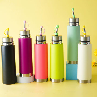 South American mate tea cup, outdoor sports water bottle, bullet style, double-walled, multi-functional, 3-in-1 press lid thermos flask.